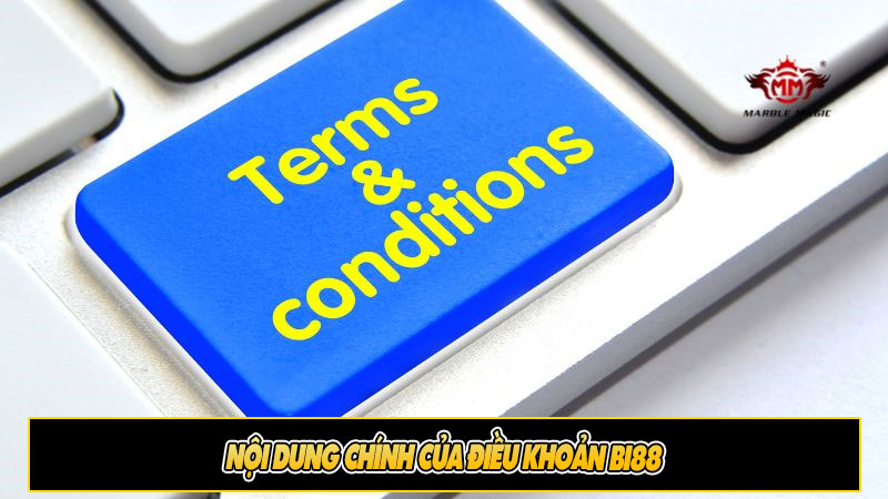 Nội dung chính của Điều khoản Bi88